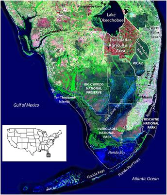 The Role of Paleoecology in Restoration and Resource Management—The Past As a Guide to Future Decision-Making: Review and Example from the Greater Everglades Ecosystem, U.S.A